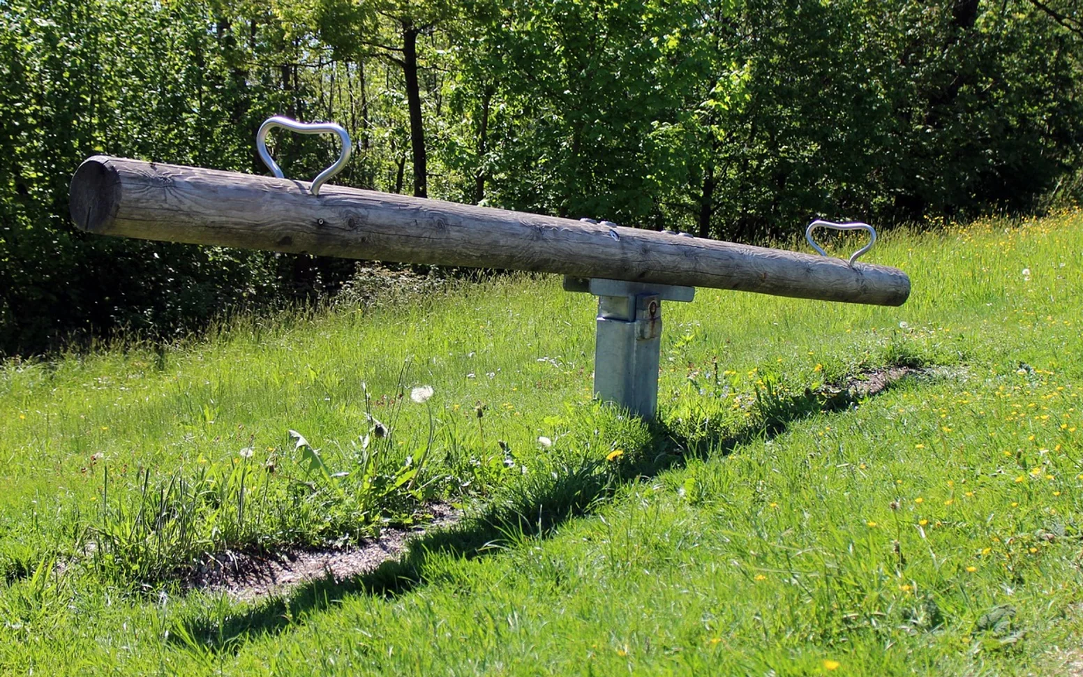 Seesaw, swing and swing device